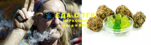 тгк Абаза
