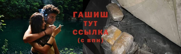тгк Абаза