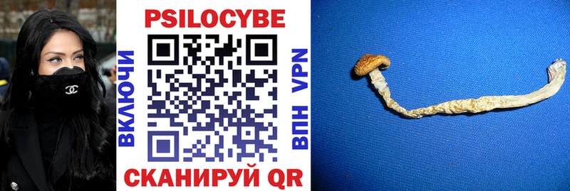 Псилоцибиновые грибы Psilocybine cubensis  Купить закладки  Липецк 